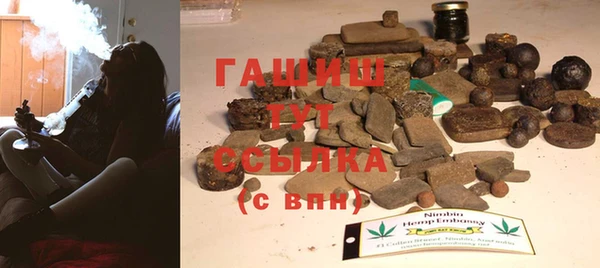 индика Бородино