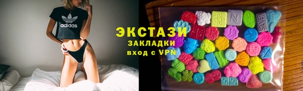 индика Бородино