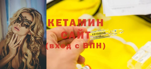 индика Бородино