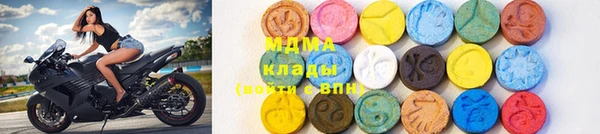 индика Бородино