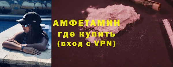 индика Бородино