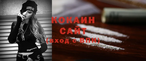 индика Бородино
