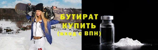 индика Бородино