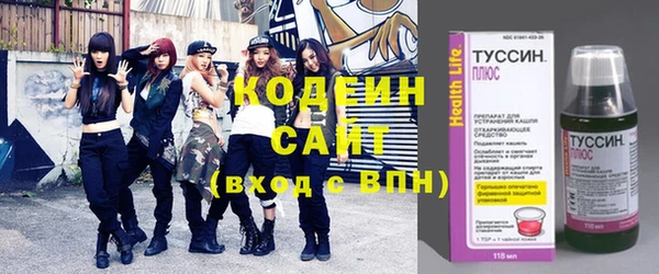индика Бородино