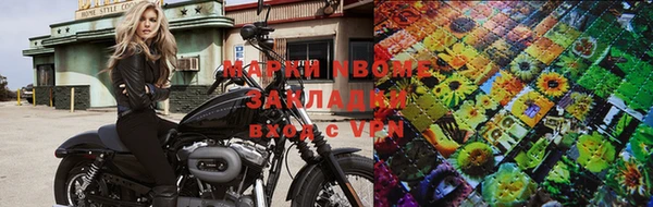 стаф Бронницы