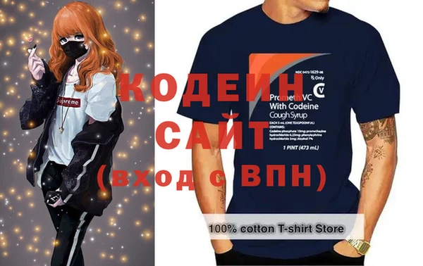 индика Бородино