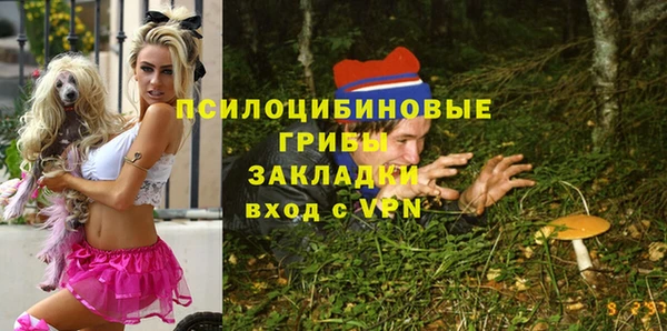 стаф Бронницы