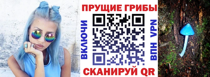blacksprut ТОР  Курган  Псилоцибиновые грибы мицелий 