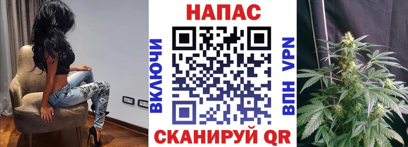 цена наркотик  Курган  Конопля VHQ 